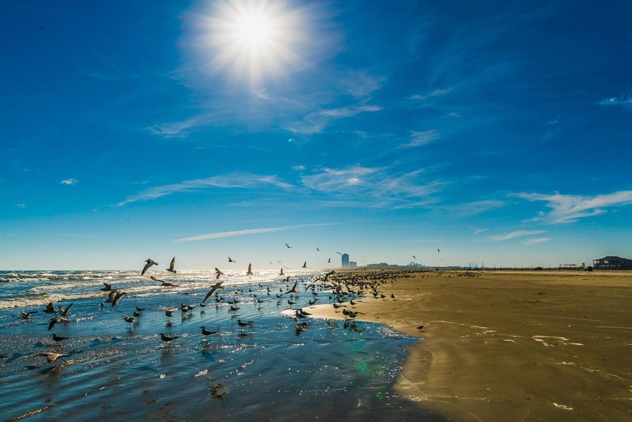 غالفيستون، تكساس Blue Skies Ahead Quick Walk Into Town And Beach المظهر الخارجي الصورة