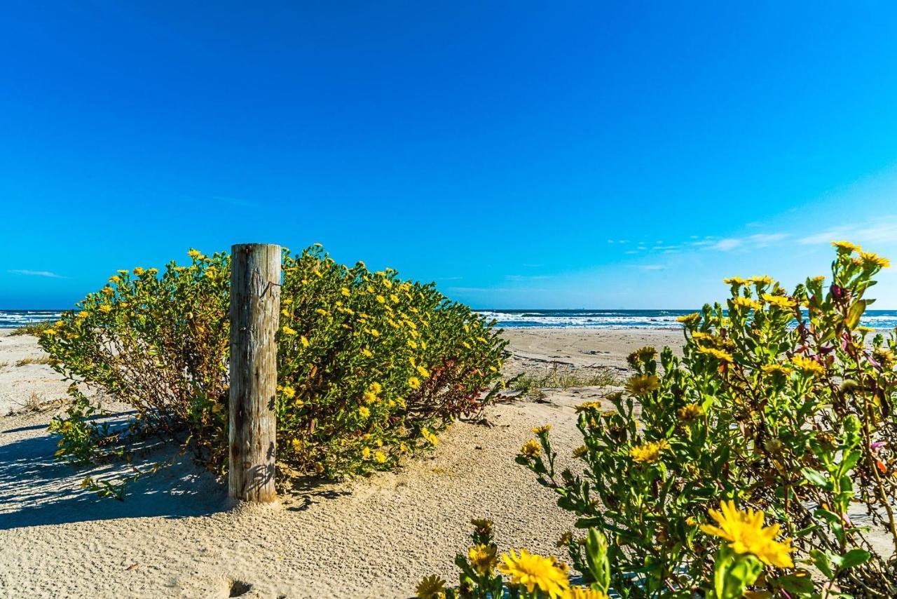 غالفيستون، تكساس Blue Skies Ahead Quick Walk Into Town And Beach المظهر الخارجي الصورة